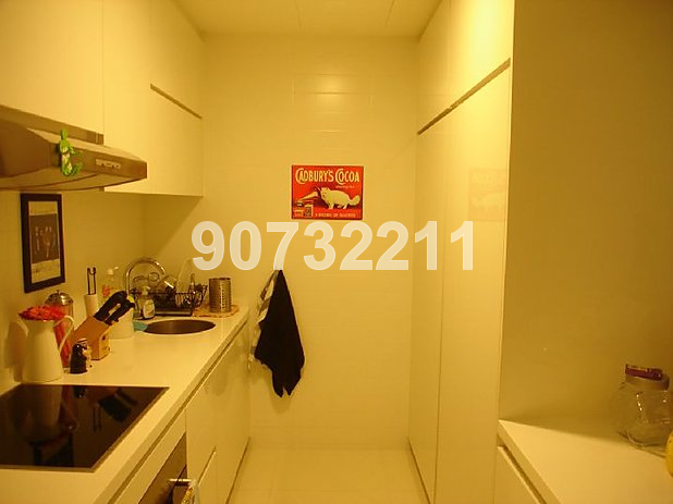 One Shenton (D1), Apartment #13324572
